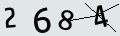 verifycode